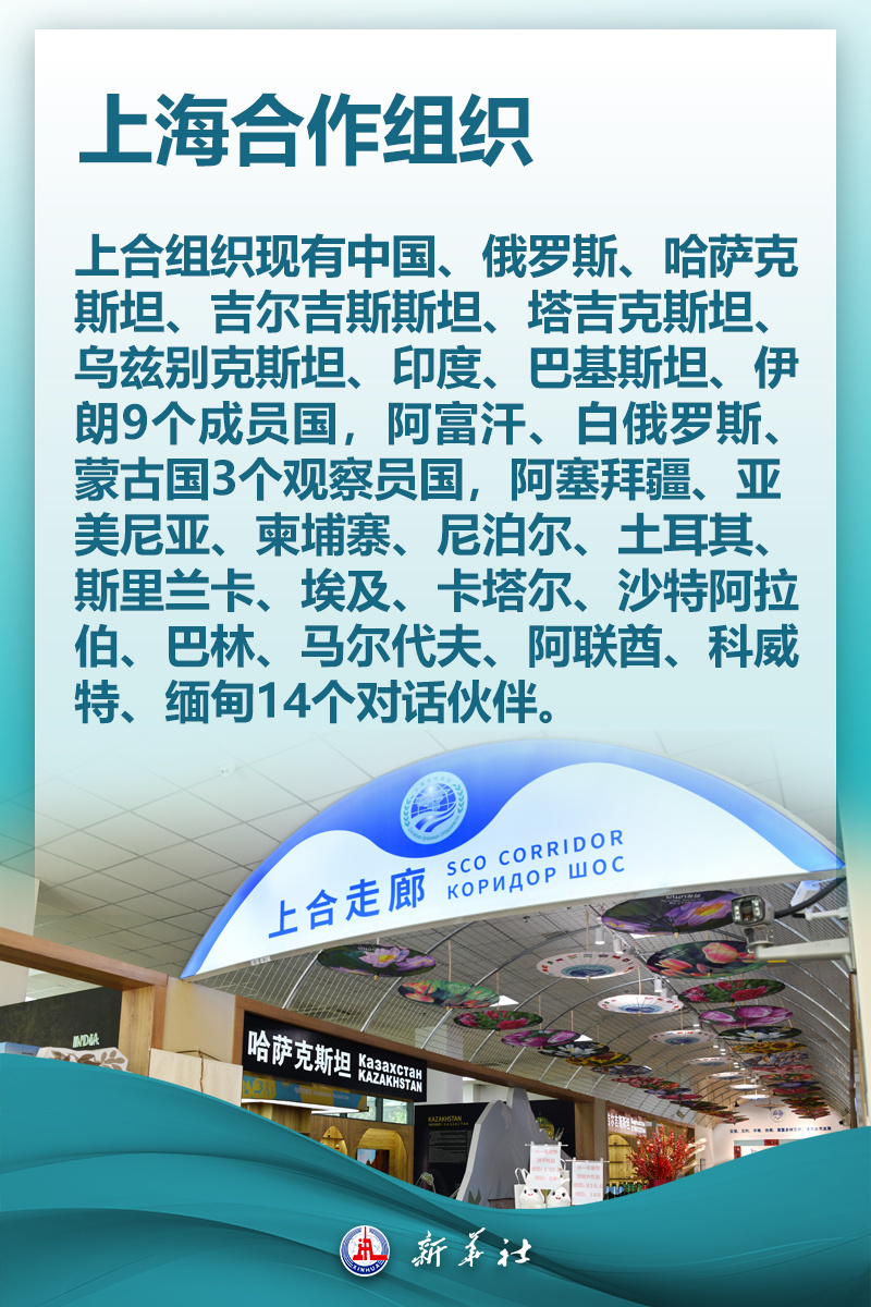 WjC977MW65IM1se1.jpg