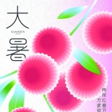 荷风拂暑意 蝉鸣草木盛
